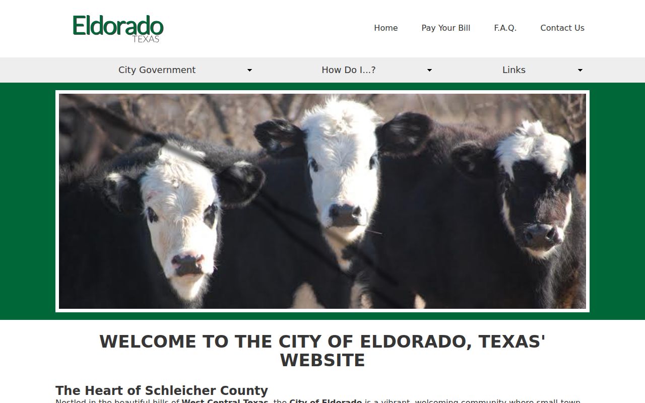 Eldorado city homepage used for local criminal history office context