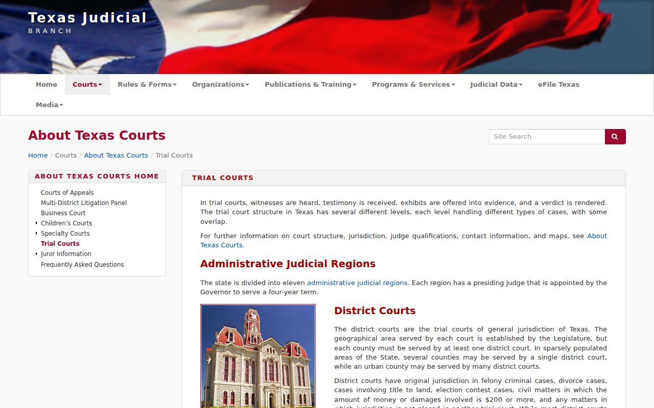 Schleicher County criminal court cases and Texas trial court levels